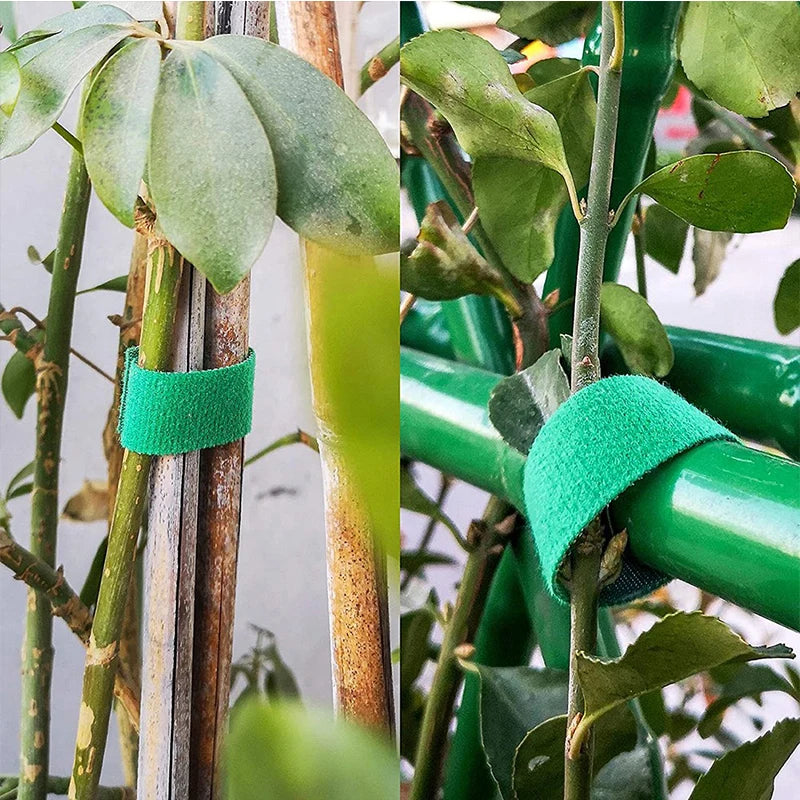 3 Rolos de Cordel Verde para Jardim – Fitas de Nylon para Suporte de Plantas, Amarras para Bambu, Laços e Acessórios de Jardim