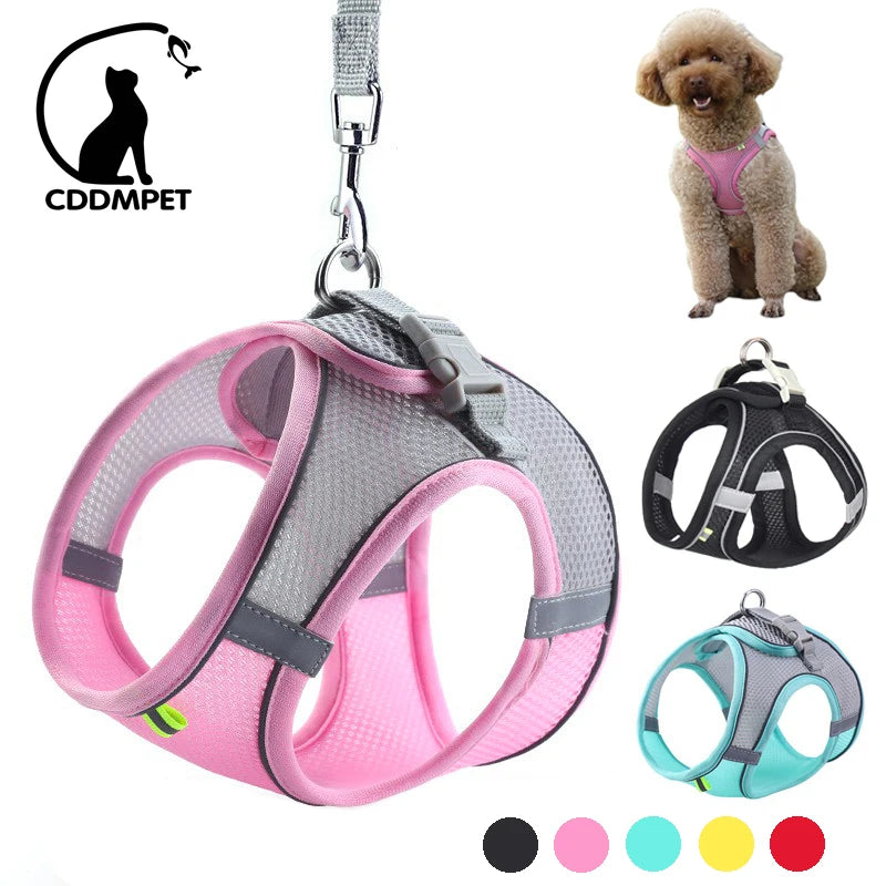 Conjunto de Peitoral e Trela para Cães Pequenos - Peitoral Ajustável para Cachorros, Gato, Bulldog Francês, Chihuahua e Pug, para Passeios ao Ar Livre